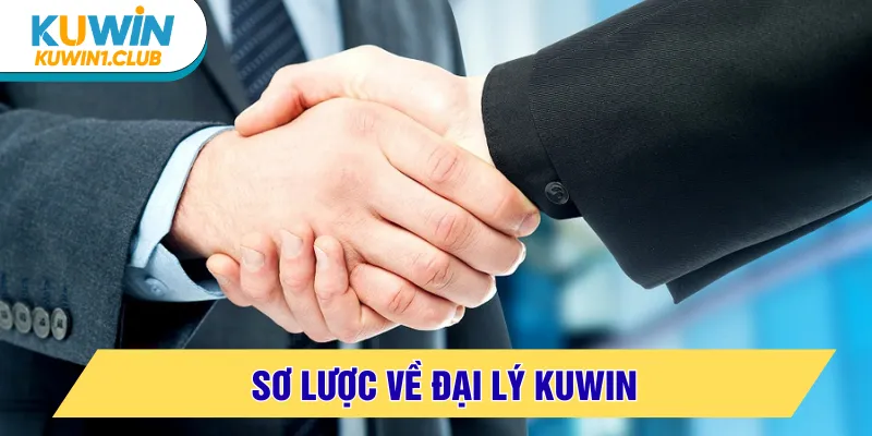 đại lý kuwin giới thiệu