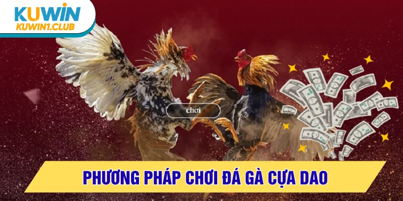 Phương pháp chơi đá gà cựa dao hay