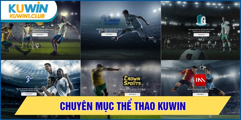 thể thao kuwin